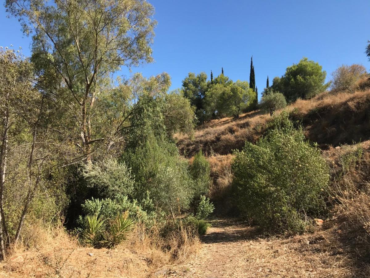 Studio Views Apartment, Cortijo Fruitful Hills マラガ エクステリア 写真
