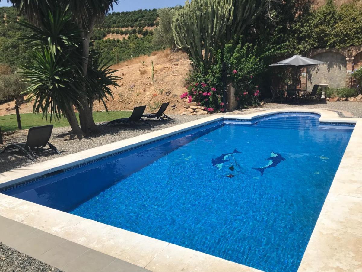 Studio Views Apartment, Cortijo Fruitful Hills マラガ エクステリア 写真