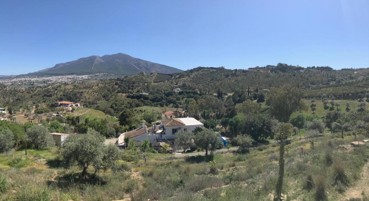 Studio Views Apartment, Cortijo Fruitful Hills マラガ エクステリア 写真
