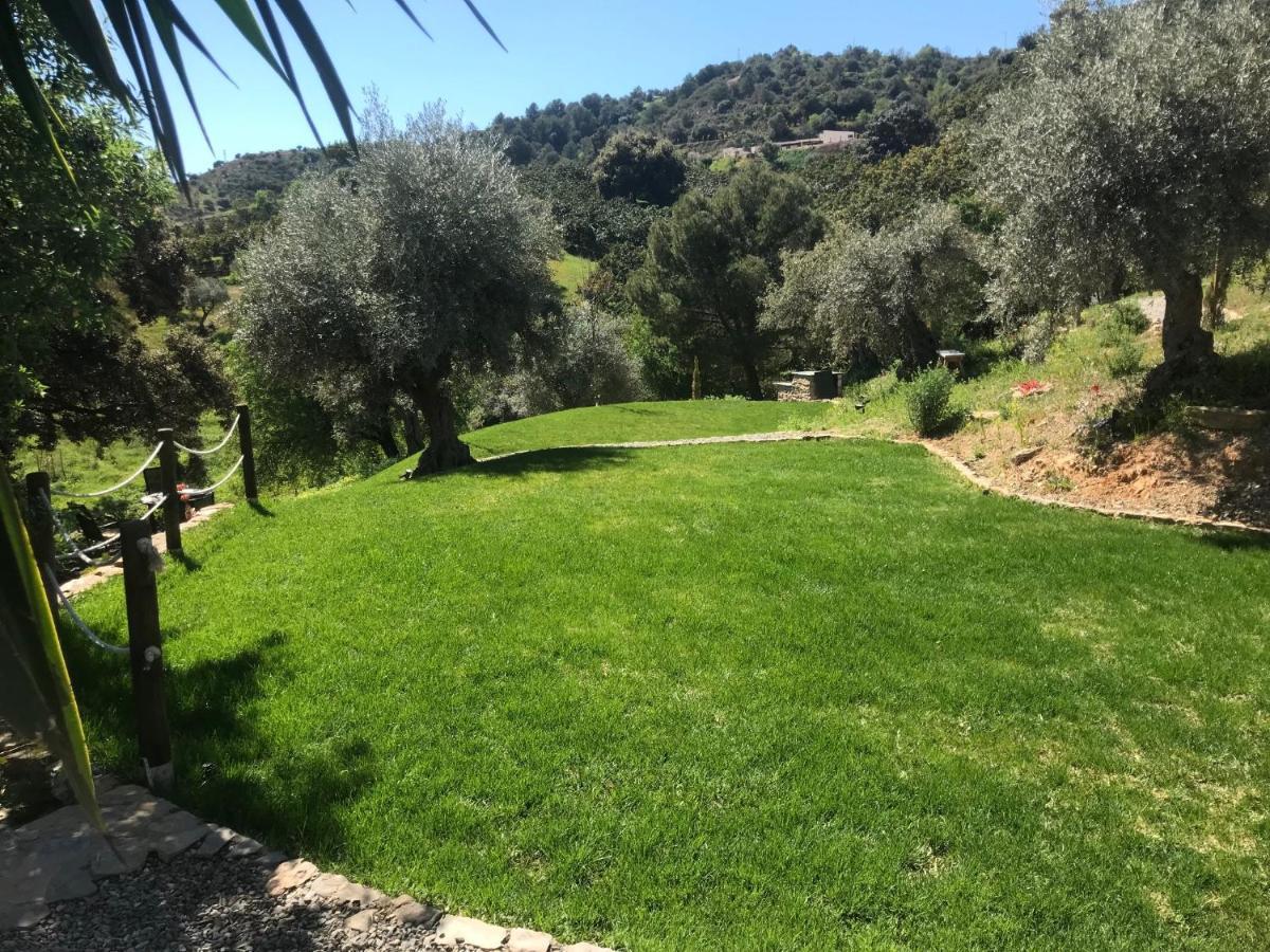 Studio Views Apartment, Cortijo Fruitful Hills マラガ エクステリア 写真