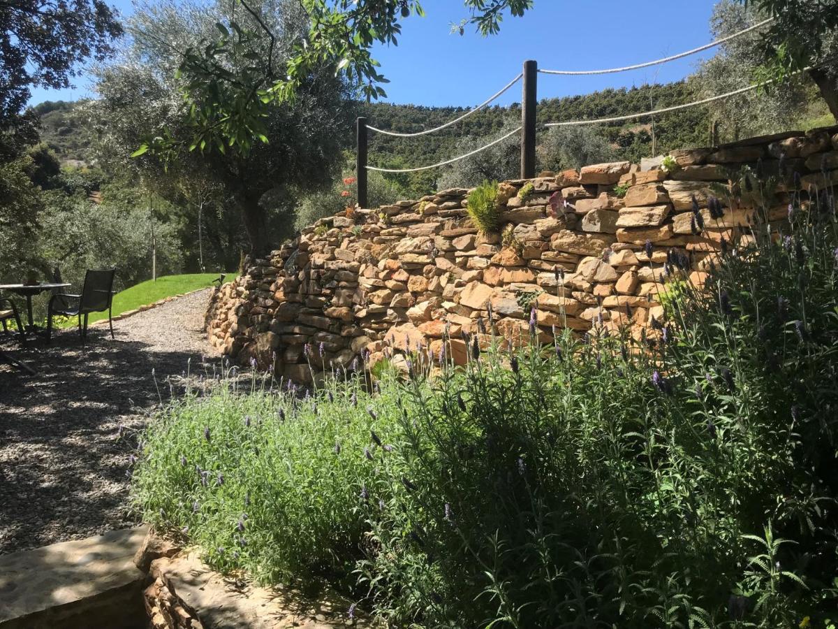 Studio Views Apartment, Cortijo Fruitful Hills マラガ エクステリア 写真