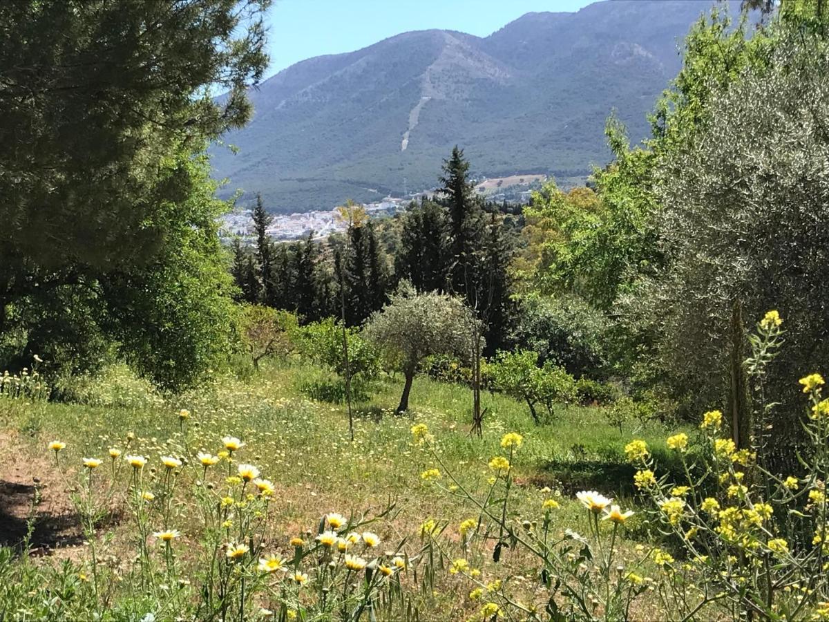 Studio Views Apartment, Cortijo Fruitful Hills マラガ エクステリア 写真