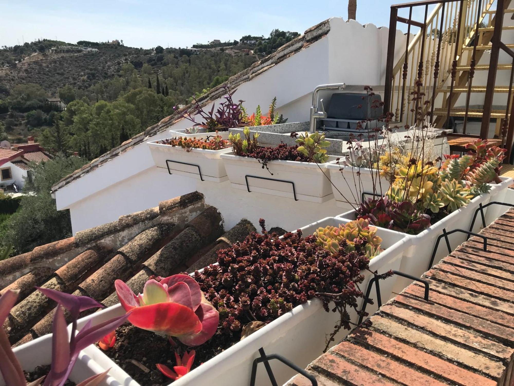 Studio Views Apartment, Cortijo Fruitful Hills マラガ エクステリア 写真