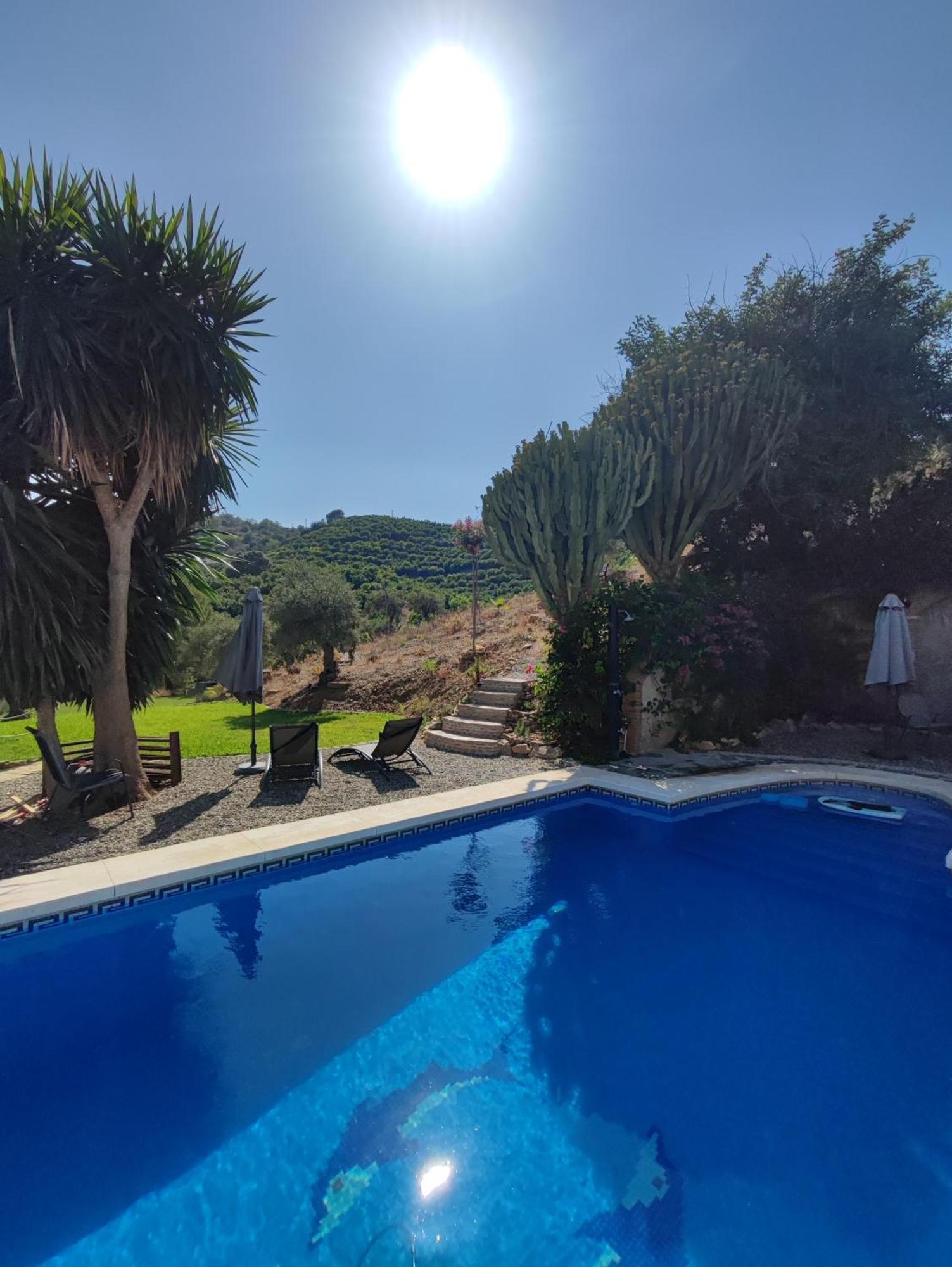 Studio Views Apartment, Cortijo Fruitful Hills マラガ エクステリア 写真